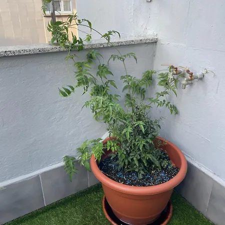 Atico Cue, Parking Gratuito Appartement *