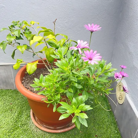 Atico Cue, Parking Gratuito Apartmán *