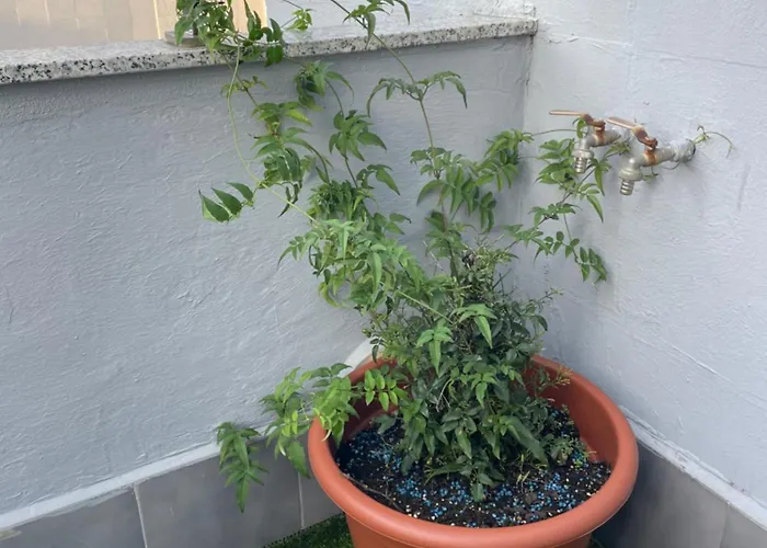 Atico Cué, Parking Gratuito Apartamento *