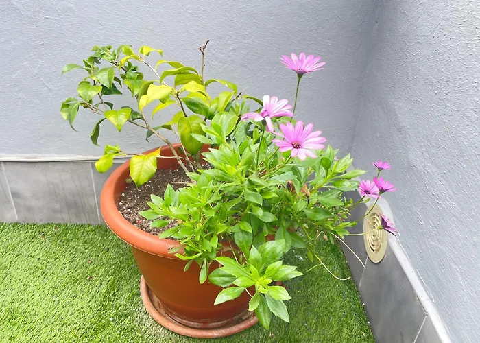 Atico Cué, Parking Gratuito Apartamento *