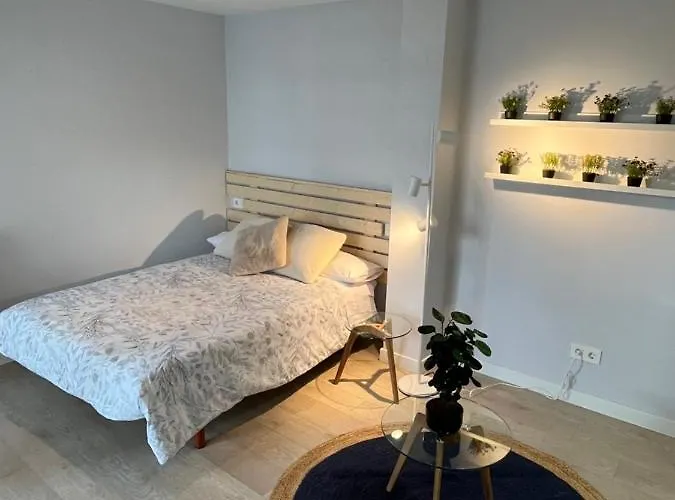 Apartment Atico Cue, Parking Gratuito